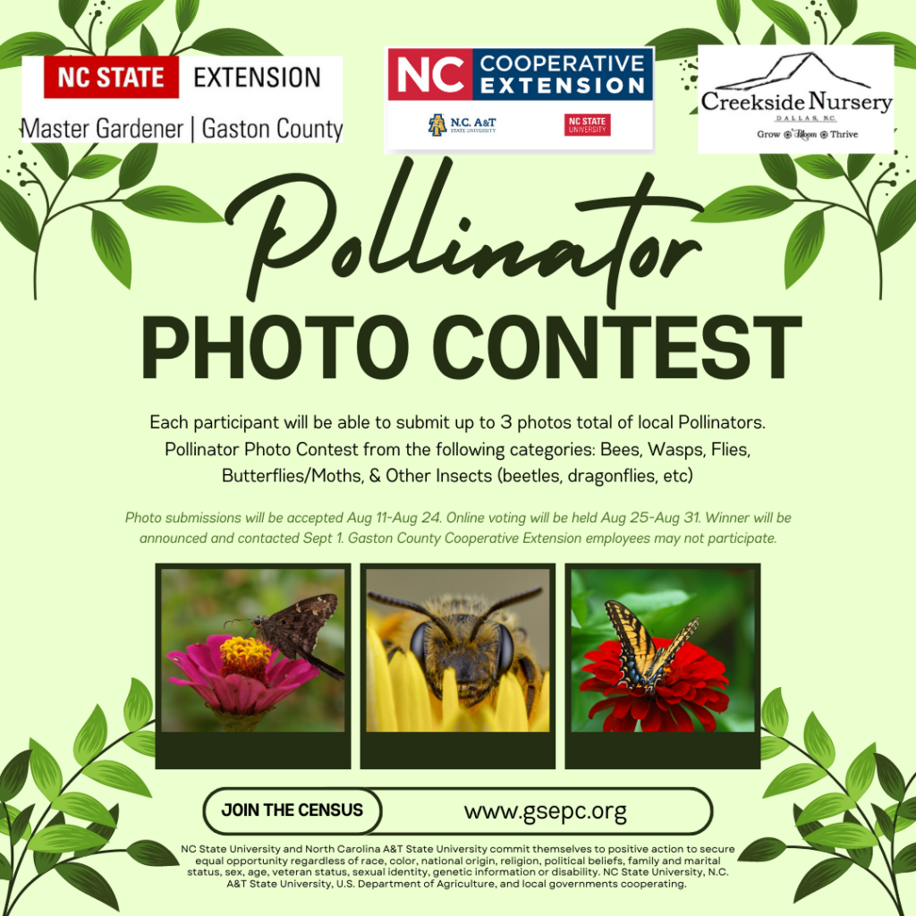 Pollinator Photo Contest N C Cooperative Extension