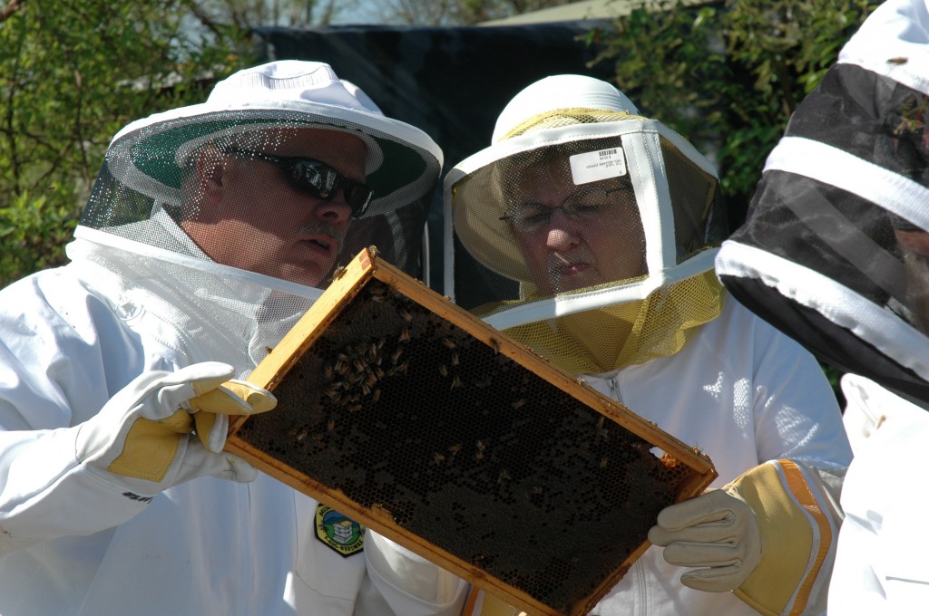 Beekeepers