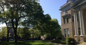 Cover photo for Uptown Tree Canopy Receives Makeover