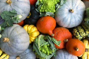 assorted fall vegetables