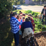 Healthy Harvest at Tryon Elementary