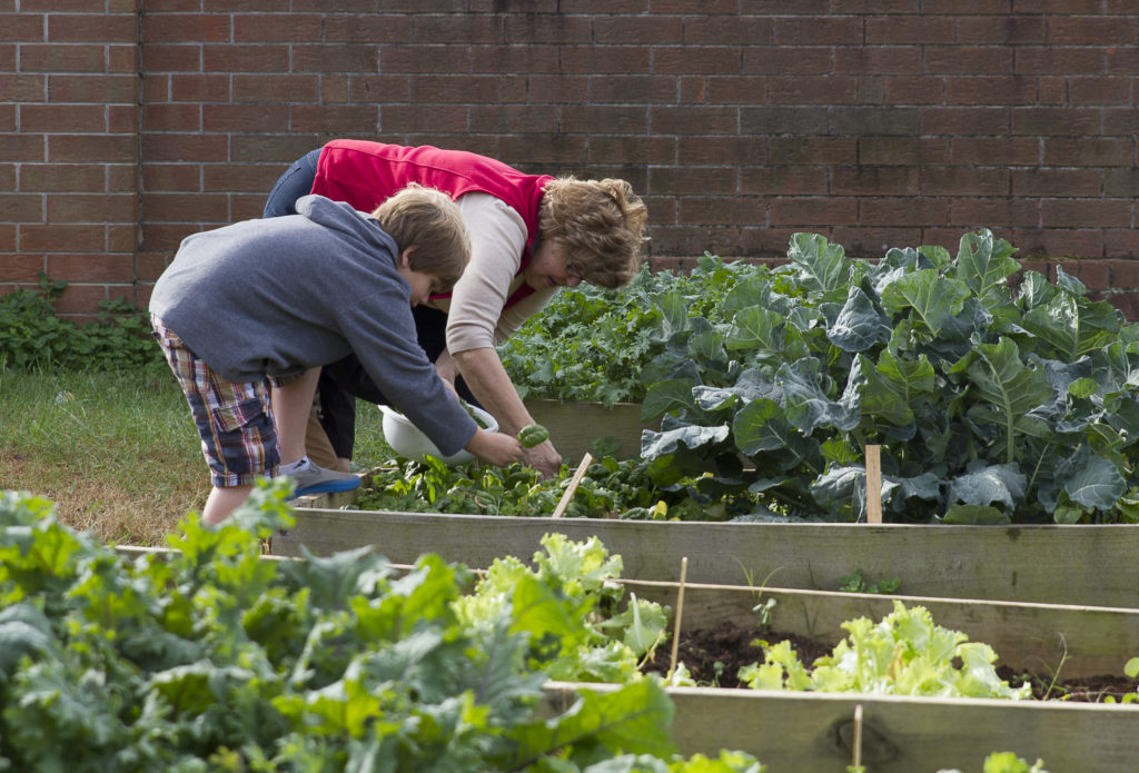 Gardeners