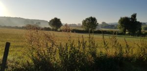 Cover photo for Fall Pasture Walk & Grass Based Livestock Discussion
