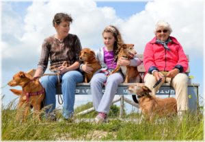 Cover photo for Parents, Pets, and Pesticides