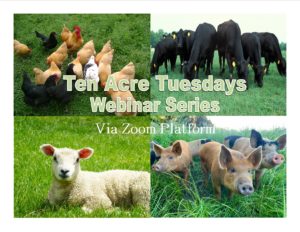 Cover photo for Ten Acre Tuesday's Webinar Series