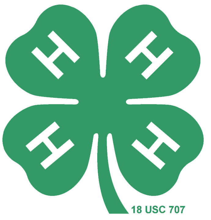 The 4-H Logo.