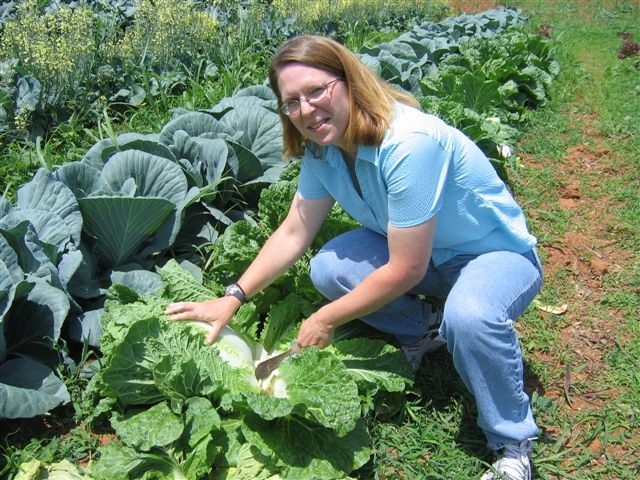 A woman poses with Cabbage in a field.