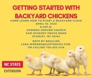 Cover photo for Getting Started With Backyard Chickens Workshop