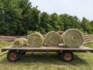 Hay Bales on trailer