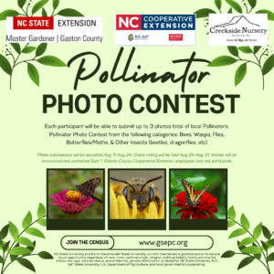 Cover photo for Pollinator Photo Contest