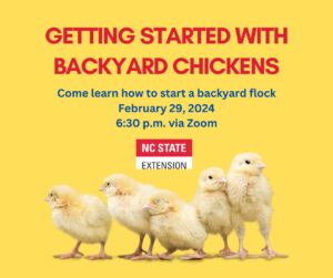 Cover photo for Getting Started With Backyard Chickens