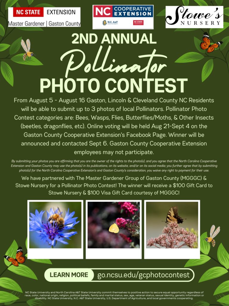 pollinator photo contest information