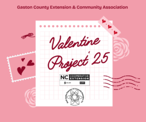 Valentine Project