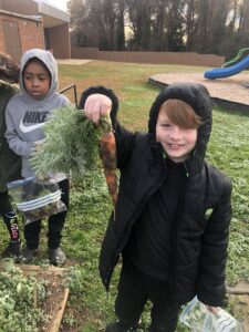 Youth Harvesting Winter Vegetables