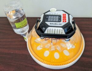 Incubator Set-Up