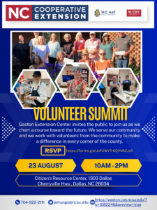 Cover photo for Gaston Volunteer Summit